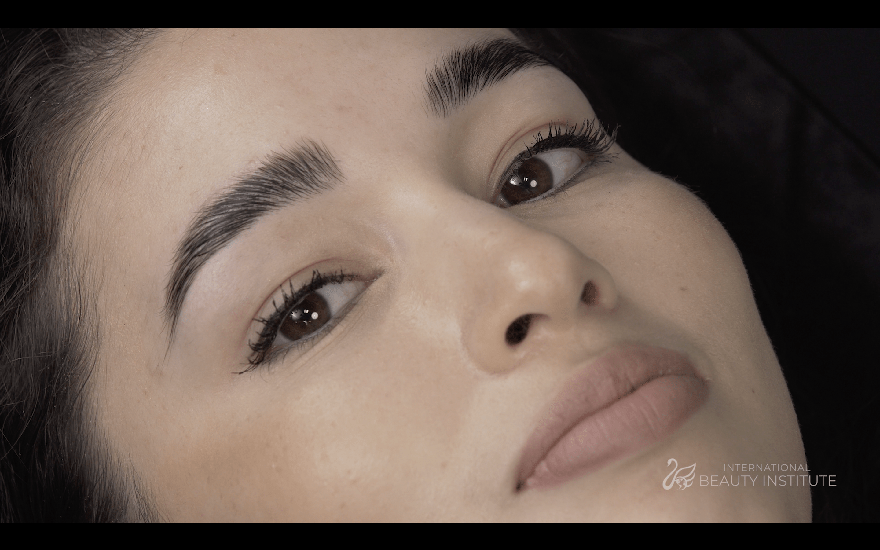 Brow Lamination & Tinting Online Course