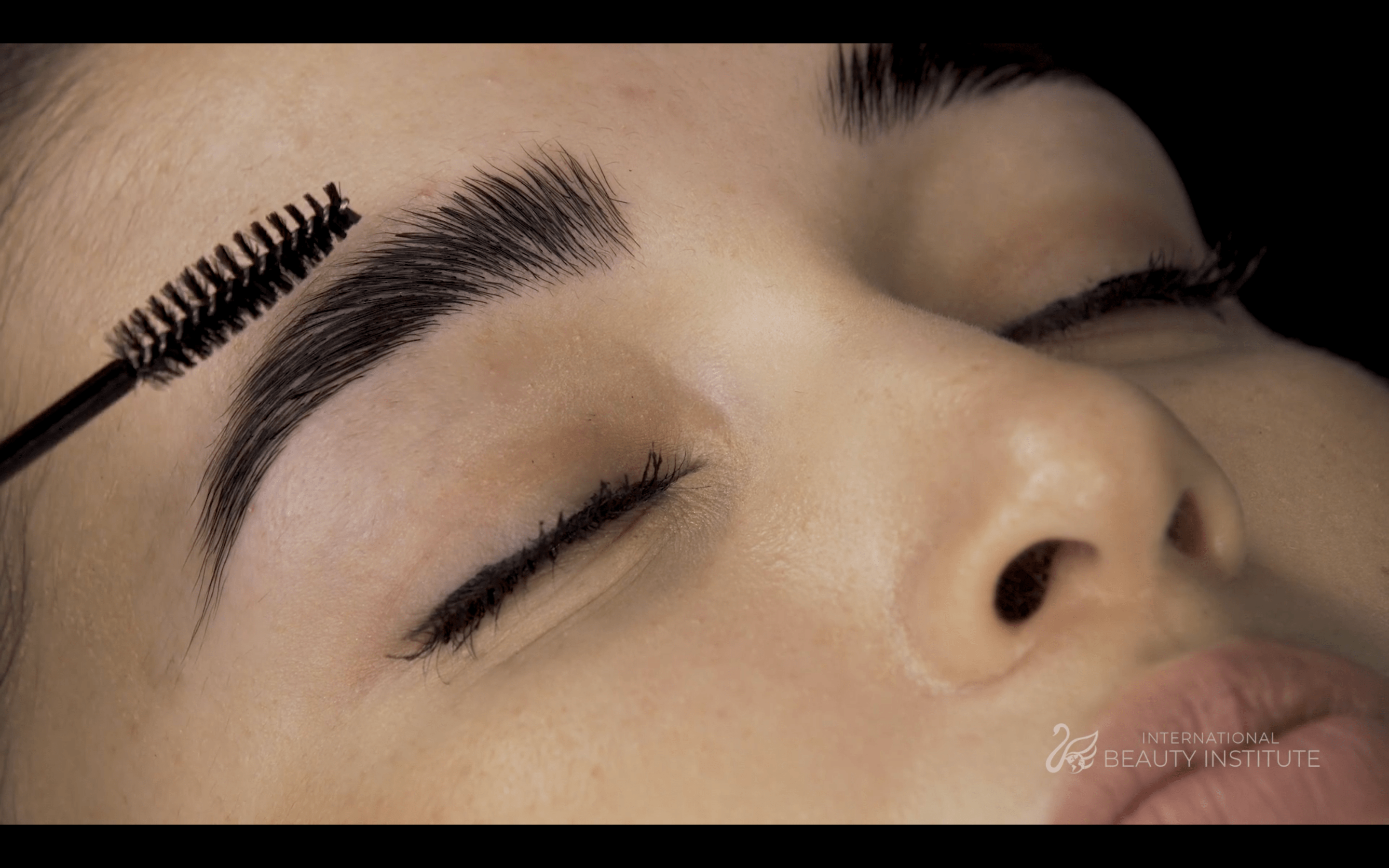 Brow Lamination & Tinting Online Course