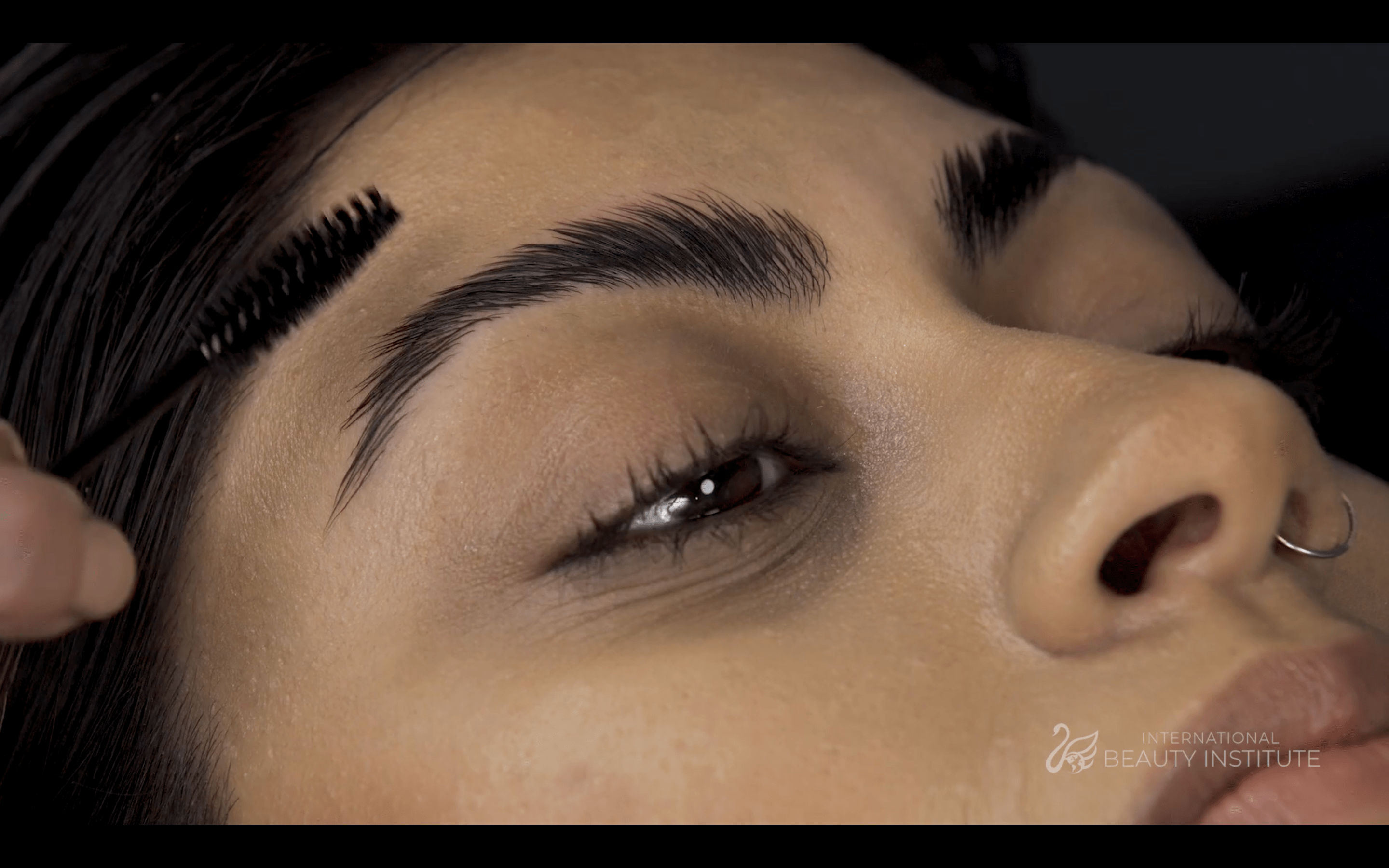 Brow Lamination & Tinting Online Course