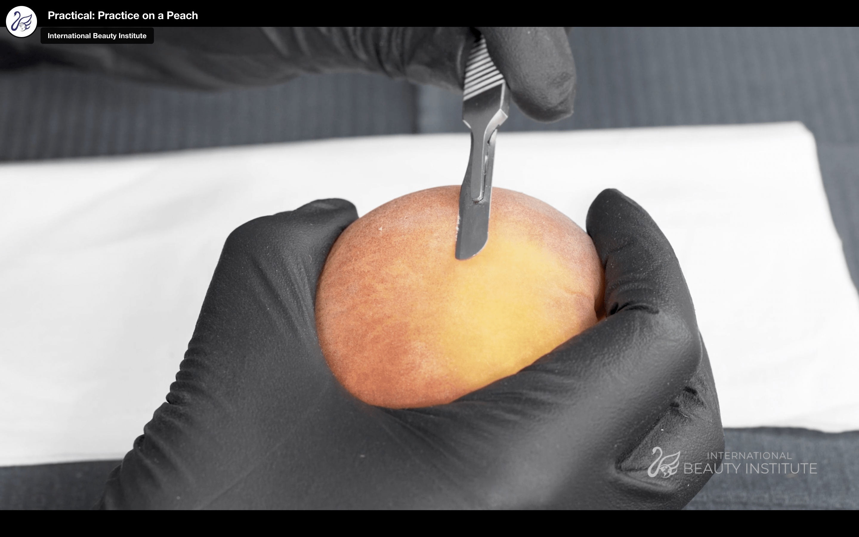 Dermaplaning Online Course